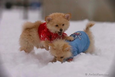 Dec2_07_489.jpg