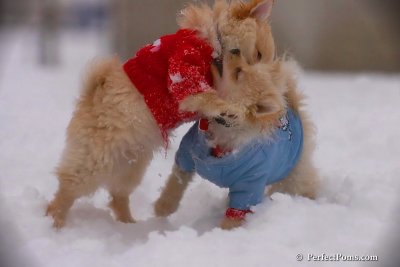 Dec2_07_490.jpg