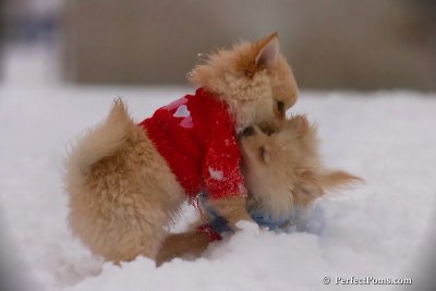 Dec2_07_492.jpg