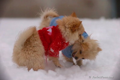 Dec2_07_493.jpg