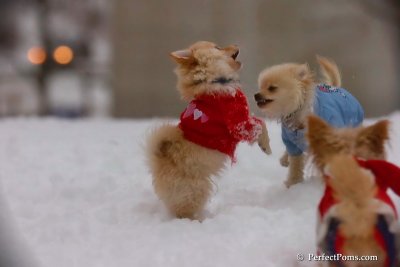 Dec2_07_498.jpg
