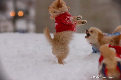 Dec2_07_499.jpg