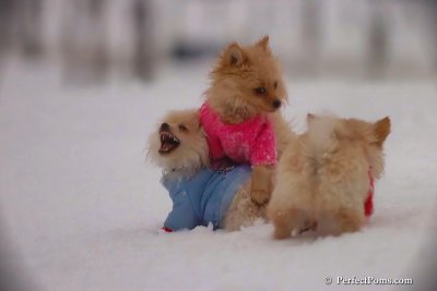 Dec2_07_504.jpg