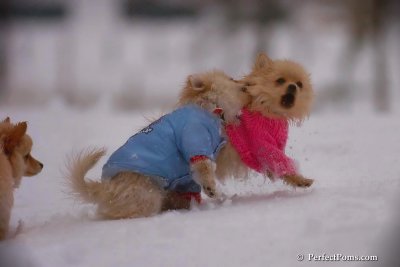 Dec2_07_505.jpg