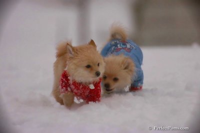 Dec2_07_510.jpg