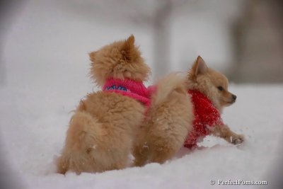 Dec2_07_512.jpg