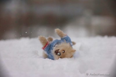 Dec2_07_516.jpg
