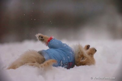 Dec2_07_519.jpg