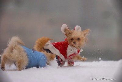 Dec2_07_520.jpg