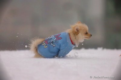 Dec2_07_525.jpg