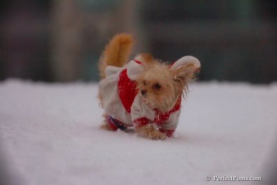 Dec2_07_528.jpg