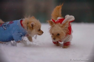 Dec2_07_529.jpg