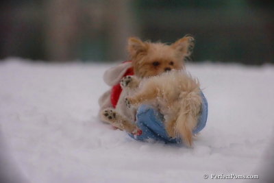 Dec2_07_530.jpg