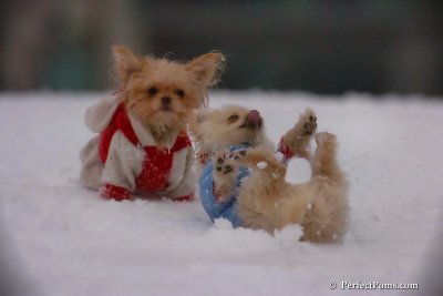 Dec2_07_533.jpg