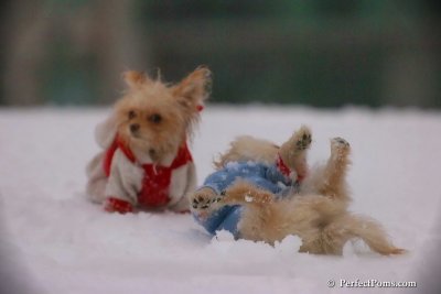 Dec2_07_534.jpg