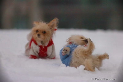 Dec2_07_535.jpg