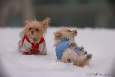Dec2_07_536.jpg