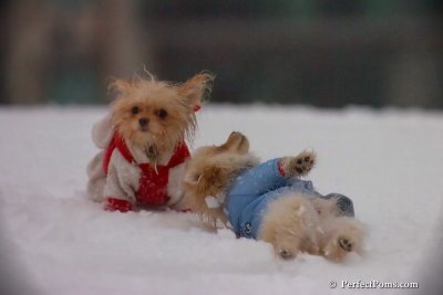 Dec2_07_537.jpg