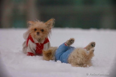 Dec2_07_538.jpg
