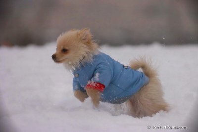 Dec2_07_540.jpg