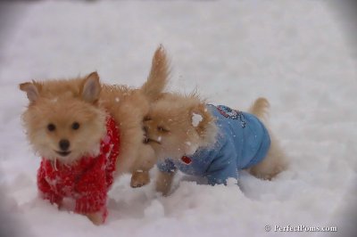 Dec2_07_542.jpg