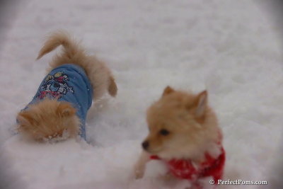 Dec2_07_543.jpg