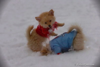 Dec2_07_545.jpg
