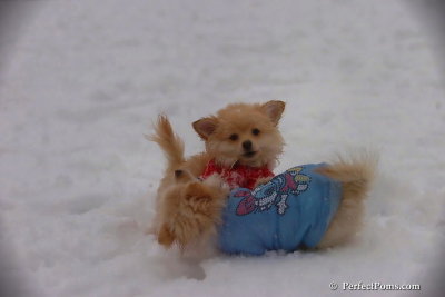 Dec2_07_546.jpg