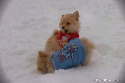 Dec2_07_547.jpg