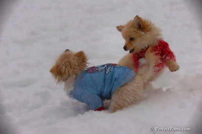 Dec2_07_548.jpg