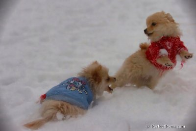 Dec2_07_549.jpg