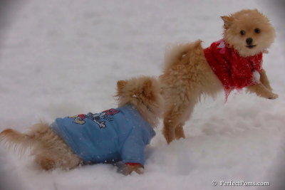 Dec2_07_551.jpg