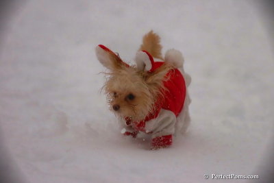 Dec2_07_555.jpg