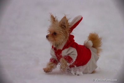 Dec2_07_556.jpg