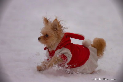 Dec2_07_557.jpg