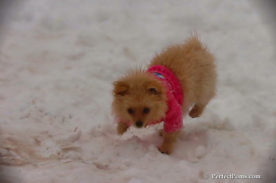 Dec2_07_560.jpg