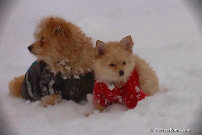 Dec2_07_563.jpg