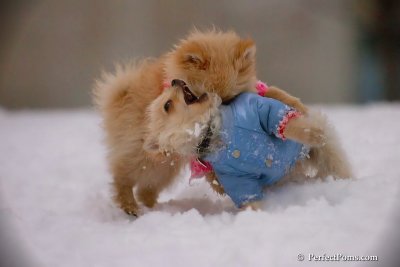 Dec2_07_328.jpg