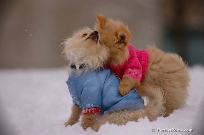 Dec2_07_332.JPG