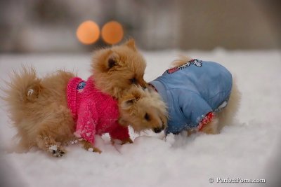 Dec2_07_334.jpg