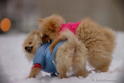 Dec2_07_336.jpg
