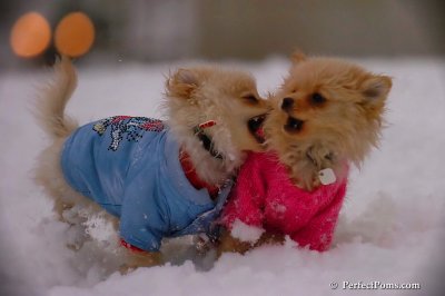 Dec2_07_338.jpg