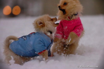 Dec2_07_339.JPG
