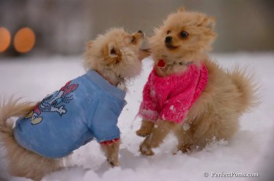 Dec2_07_340.JPG