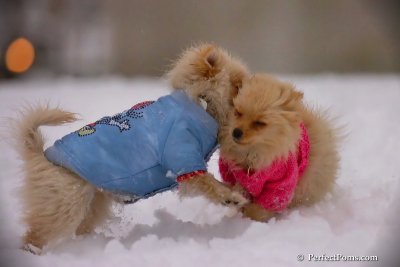 Dec2_07_341.jpg