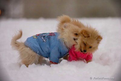 Dec2_07_343.jpg