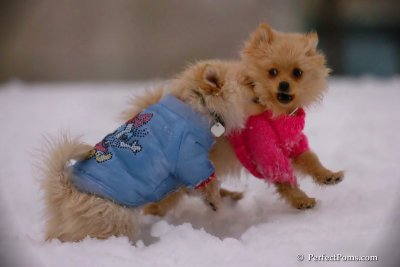 Dec2_07_345.jpg