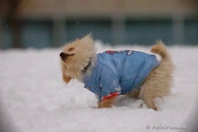 Dec2_07_348.jpg