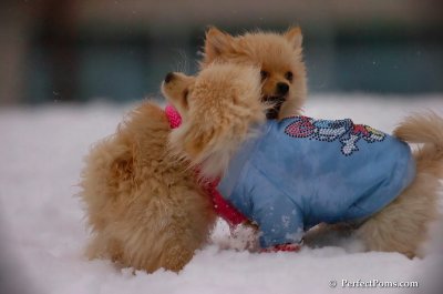 Dec2_07_349.JPG