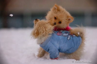 Dec2_07_350.JPG